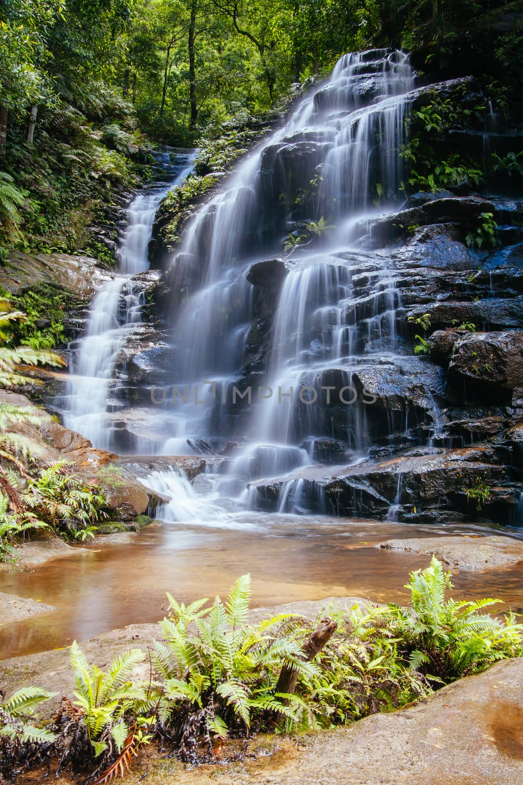 Wentworth Falls in Blue Mountains Australia by FiledIMAGE