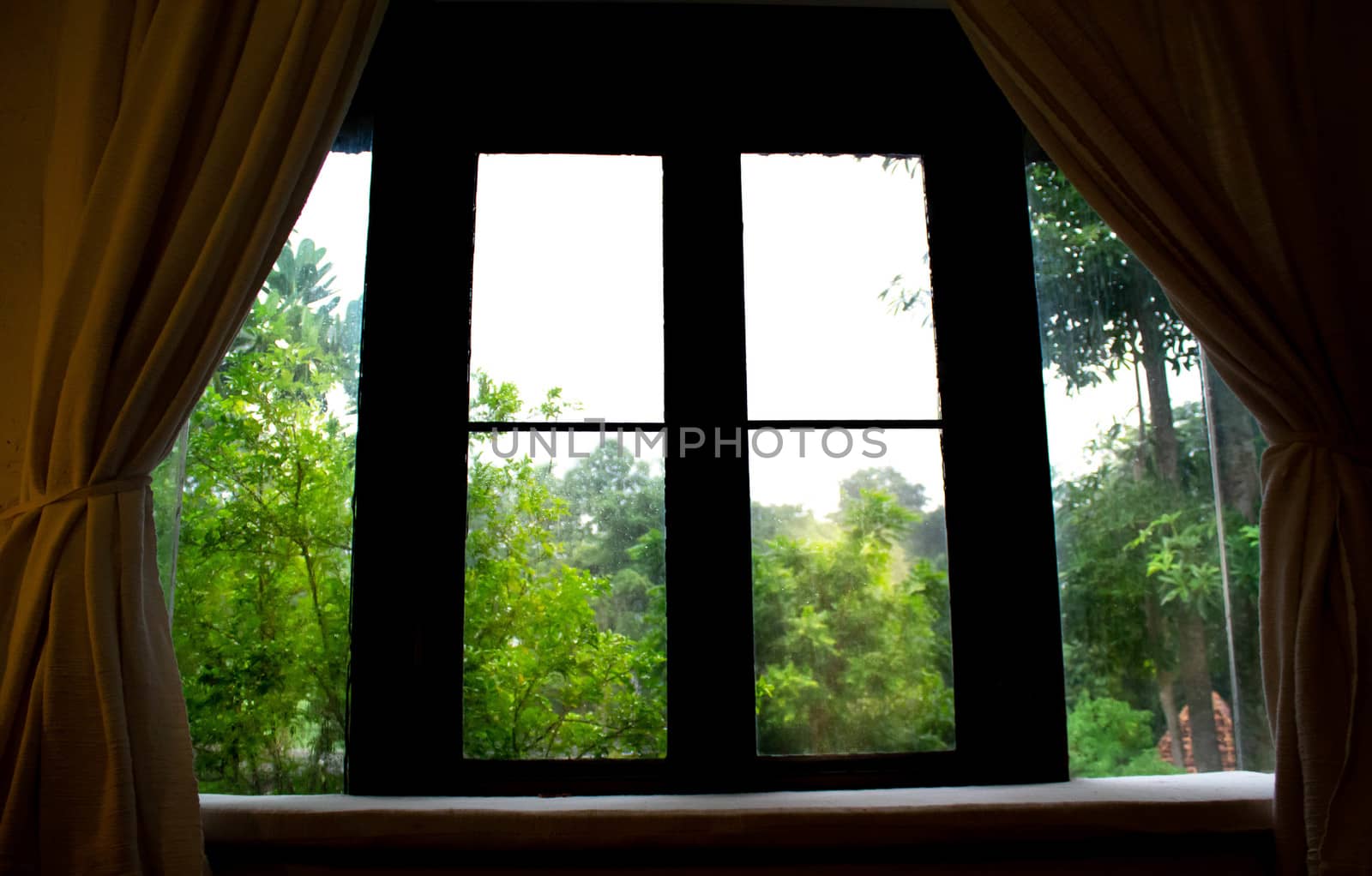 Vintage wooden window frames look out to see the trees in the garden look relaxed. by TEERASAK