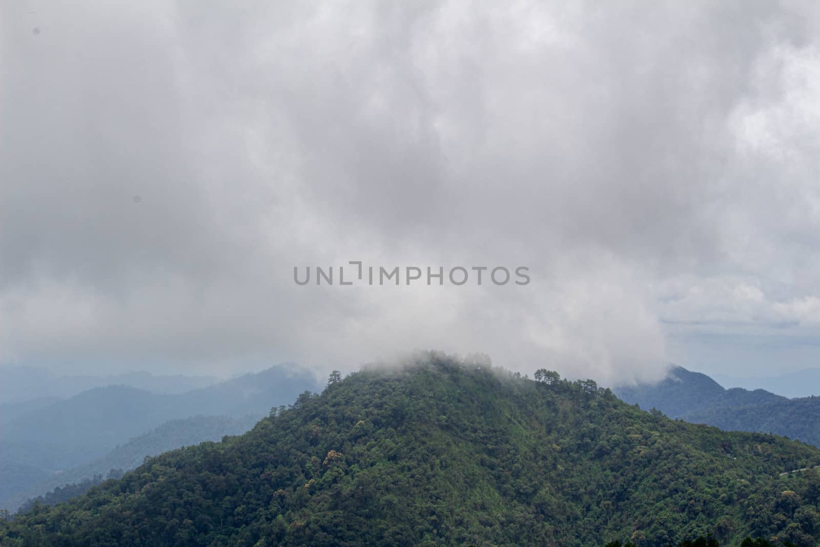 Landscape of complex mountain with fog in northern of Thailand. by TEERASAK