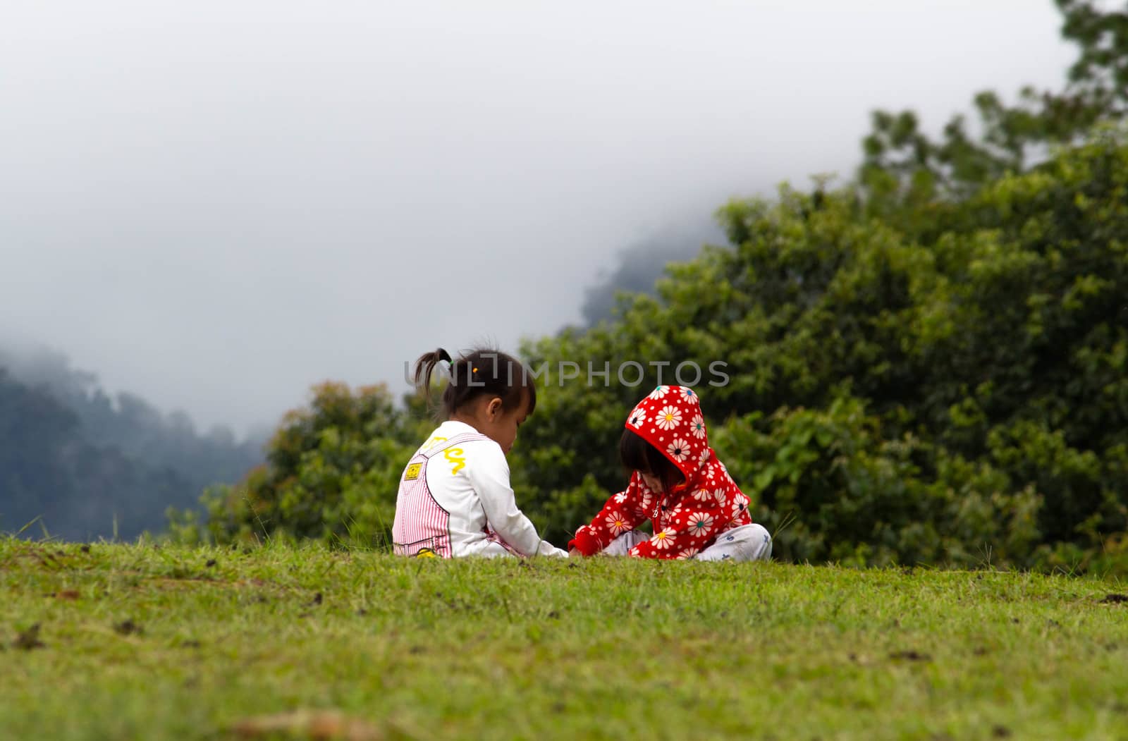 Asian little child girl helped to put shoes on the sister on the grass at Ang Khang mountain, Fang Chiang Mai. Tourist attraction in northern of Thailand. by TEERASAK
