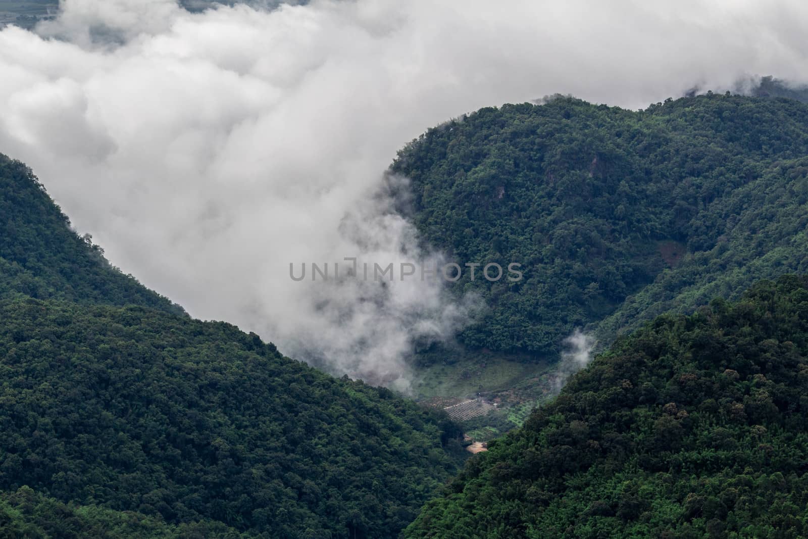 Landscape of complex mountain with fog in northern of Thailand. by TEERASAK
