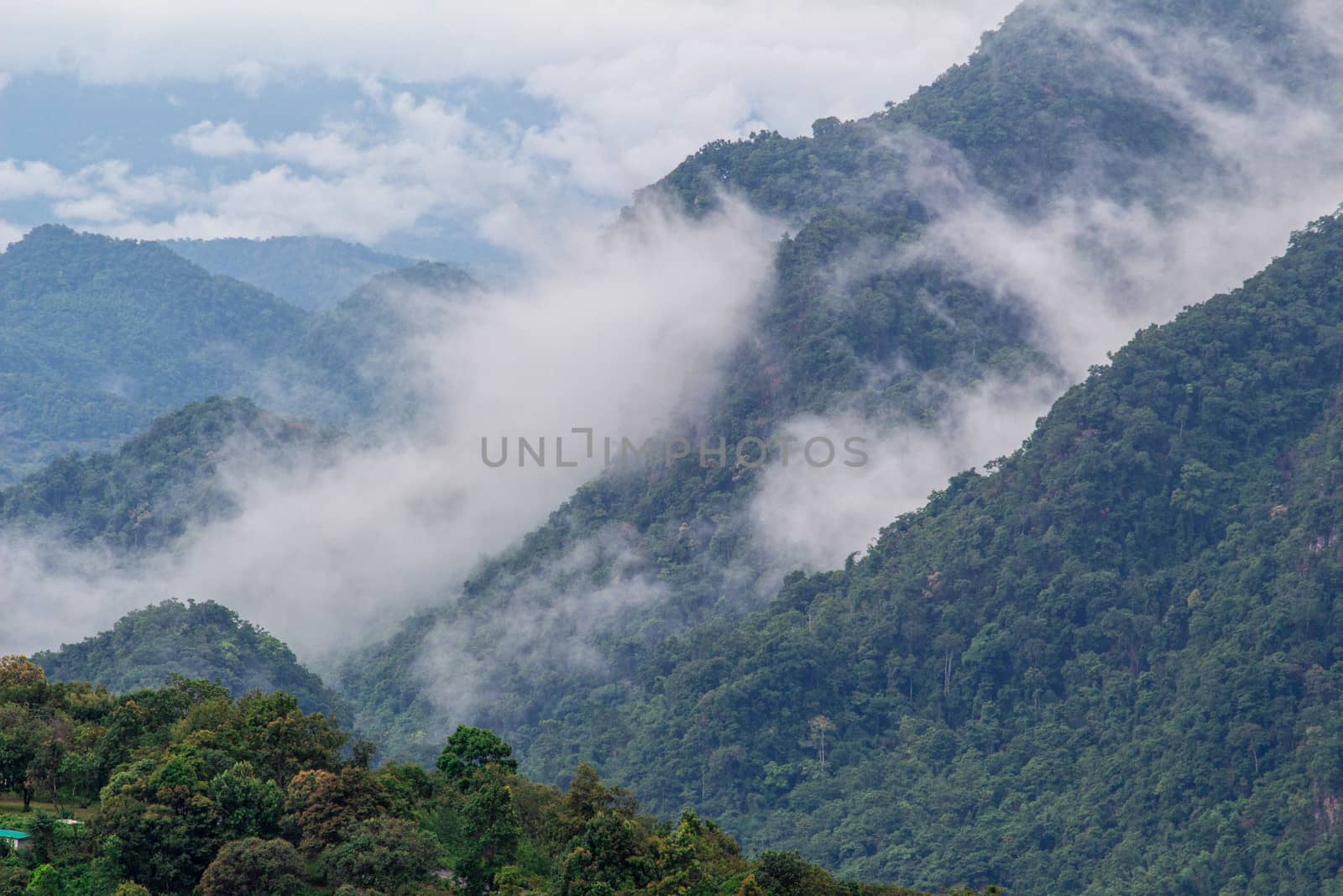 Landscape of complex mountain with fog in northern of Thailand. by TEERASAK