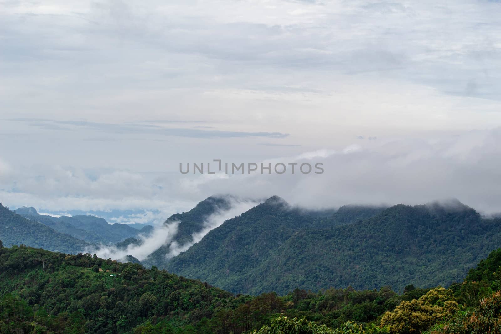 Landscape of complex mountain with fog in northern of Thailand. by TEERASAK