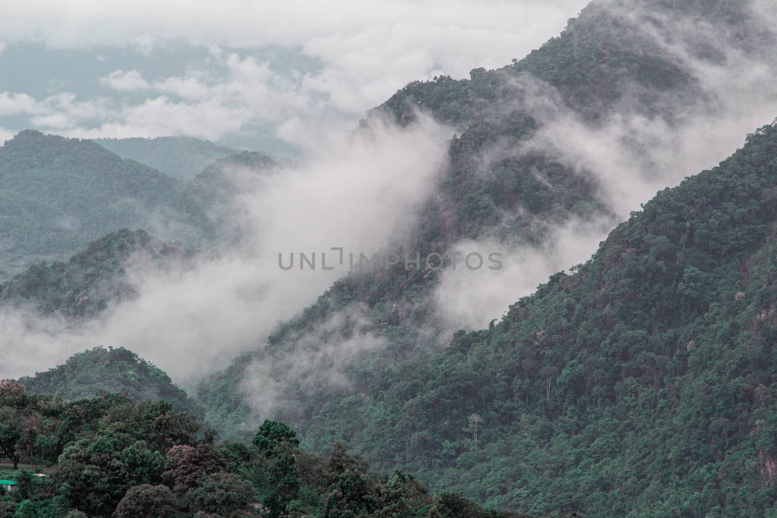 Landscape of complex mountain with fog in northern of Thailand.