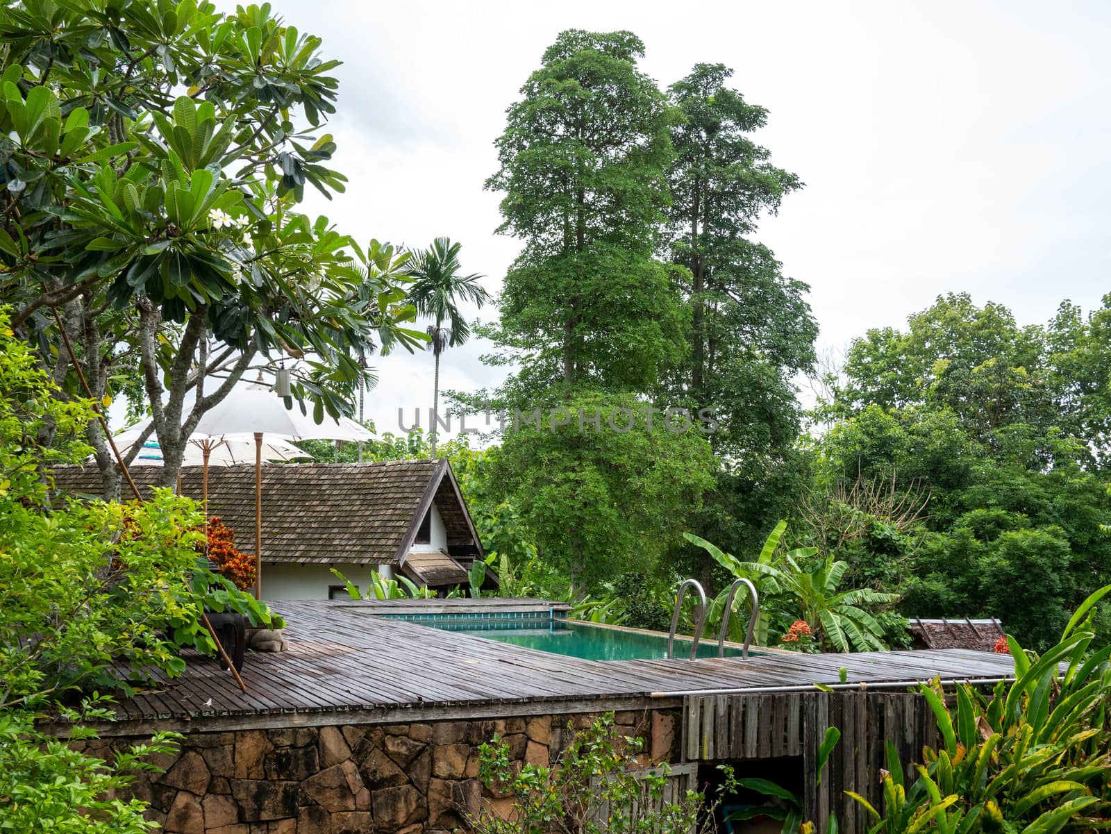 Swimming pool in beautiful park at Northern resort of Thailand. by TEERASAK