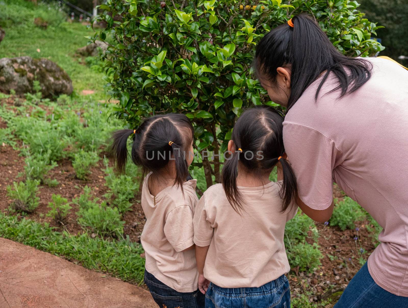 Asian little child girls and her mother studying the nature of the leaves in the garden.