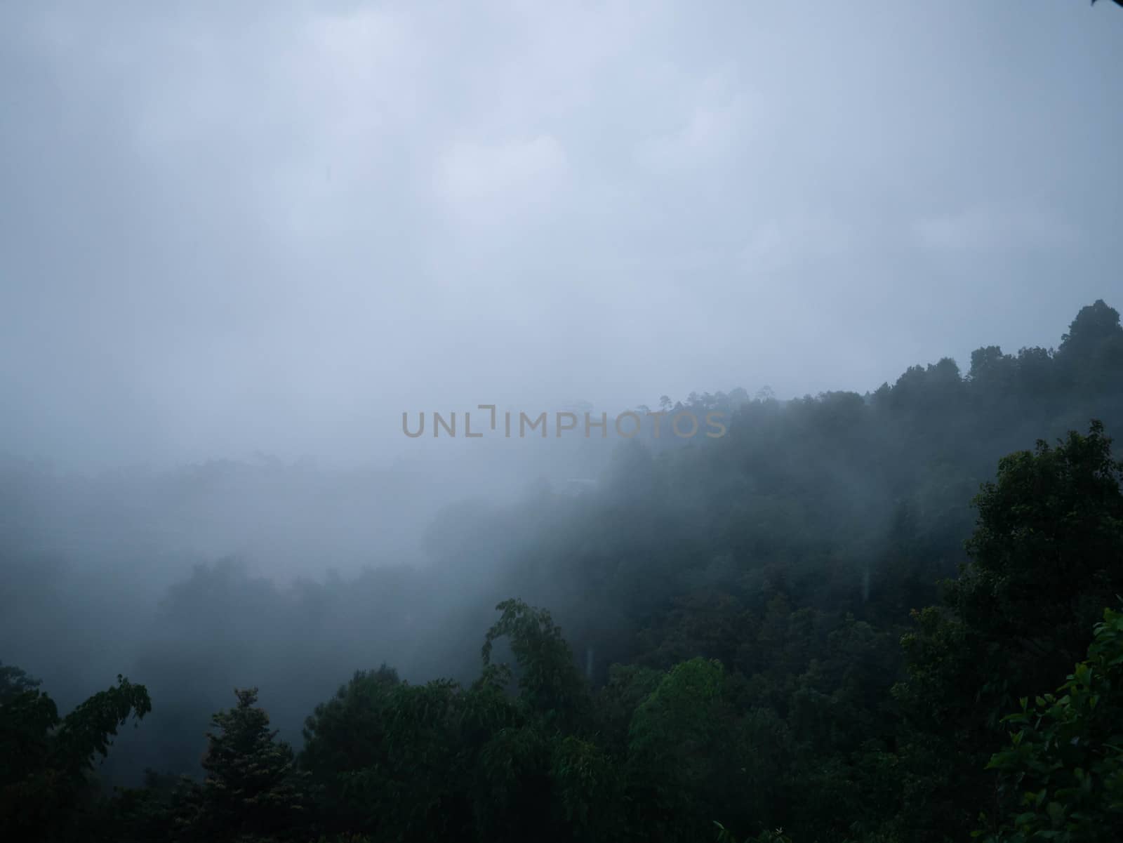 Landscape of complex mountain with fog in northern of Thailand. by TEERASAK