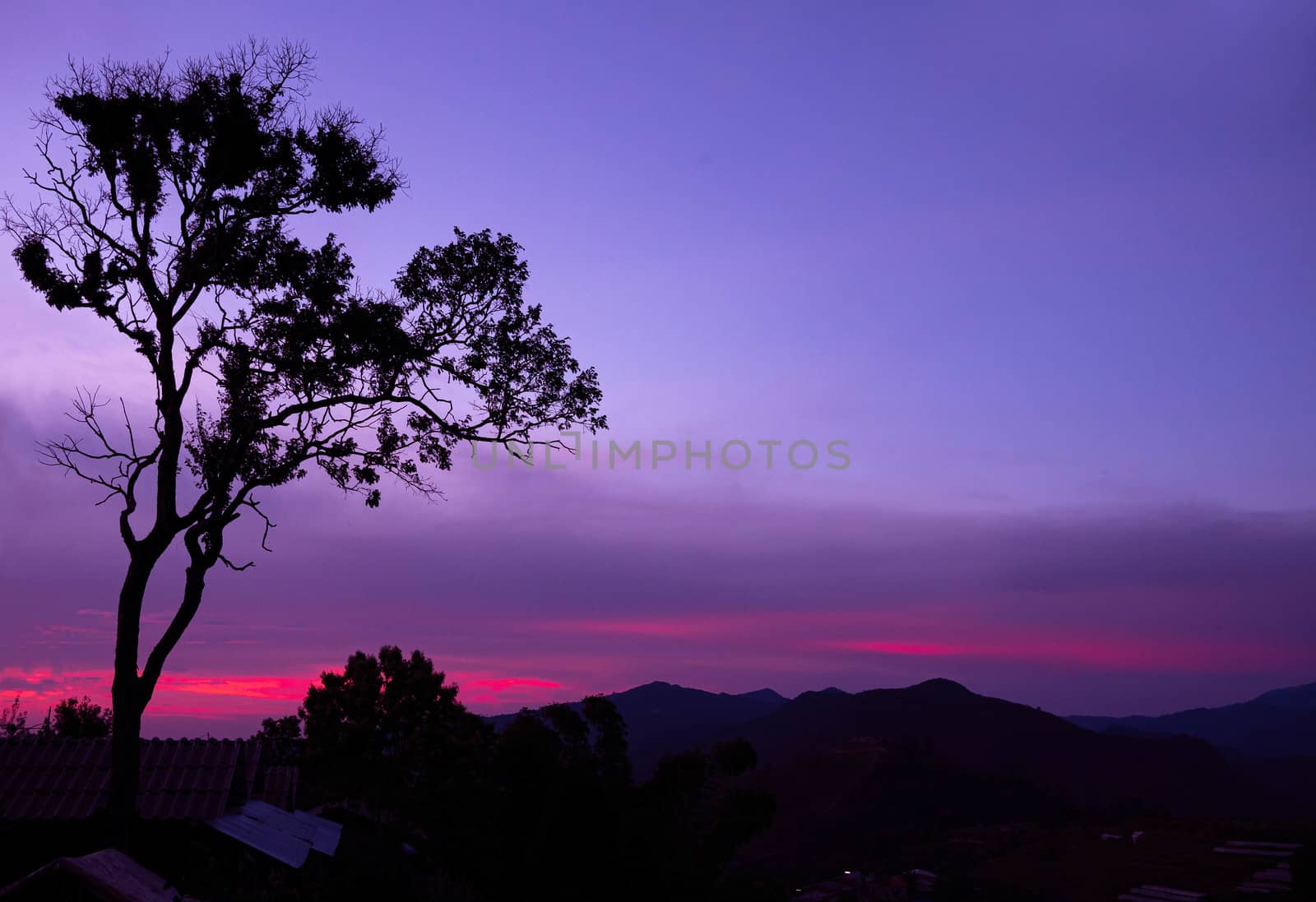 Landscape view of complex mountain with tree silhouette on sunset background in evening. Space for text.