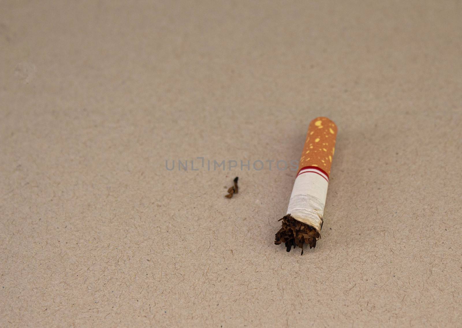 World No Tobacco Day; Smoking cigarettes and laying them on the floor with space for text.