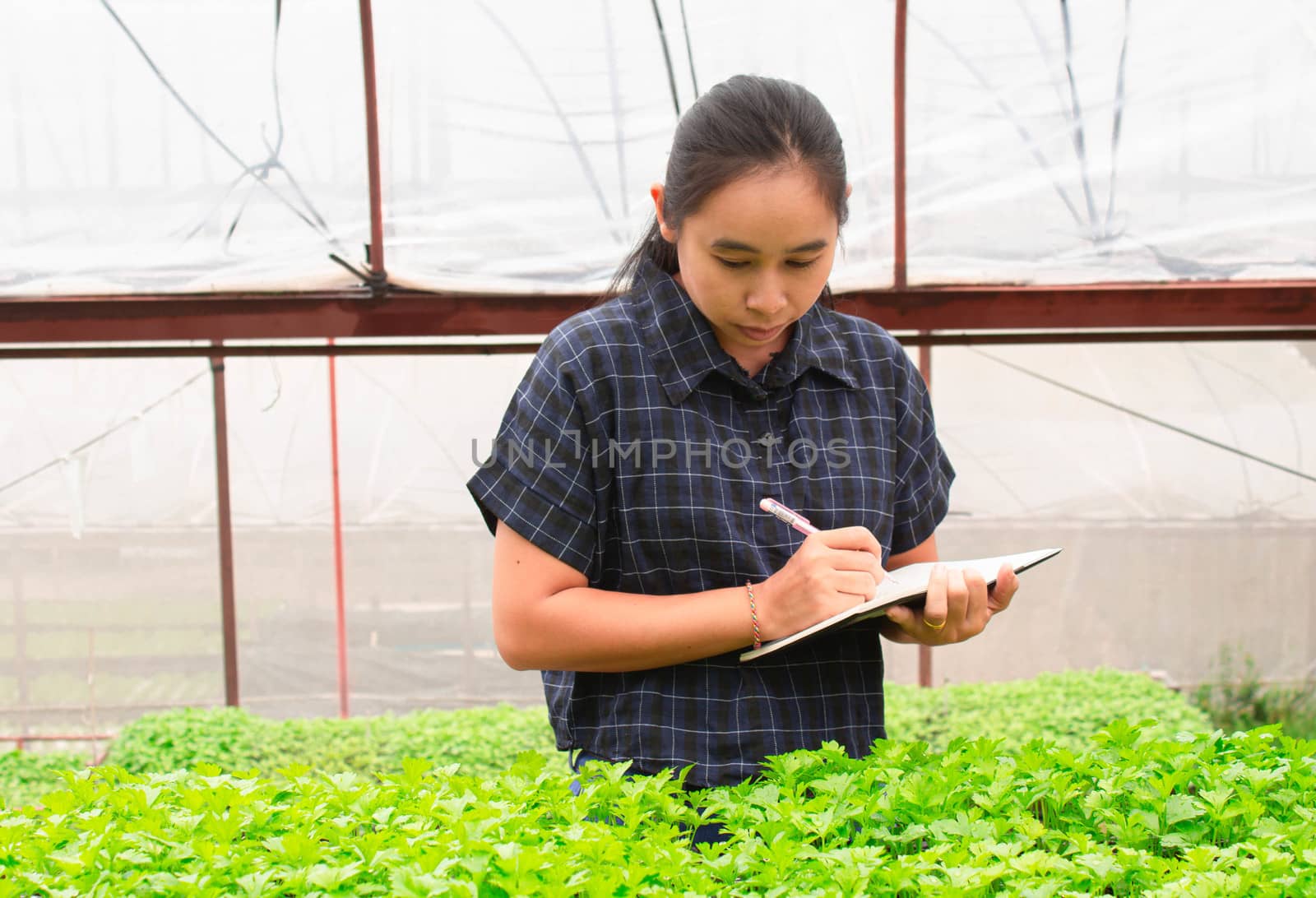 Portrait of a farmer Asian woman at work in greenhouse with notebook examines the growing seedlings on the farm and diseases in greenhouse. by TEERASAK