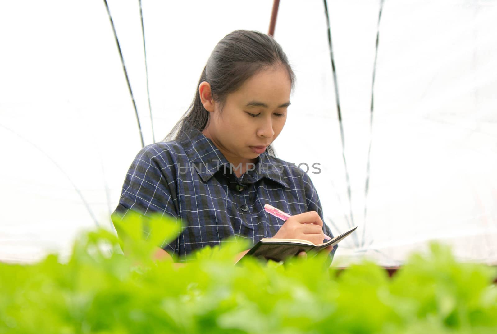 Portrait of a farmer Asian woman at work in greenhouse with notebook examines the growing seedlings on the farm and diseases in greenhouse. by TEERASAK