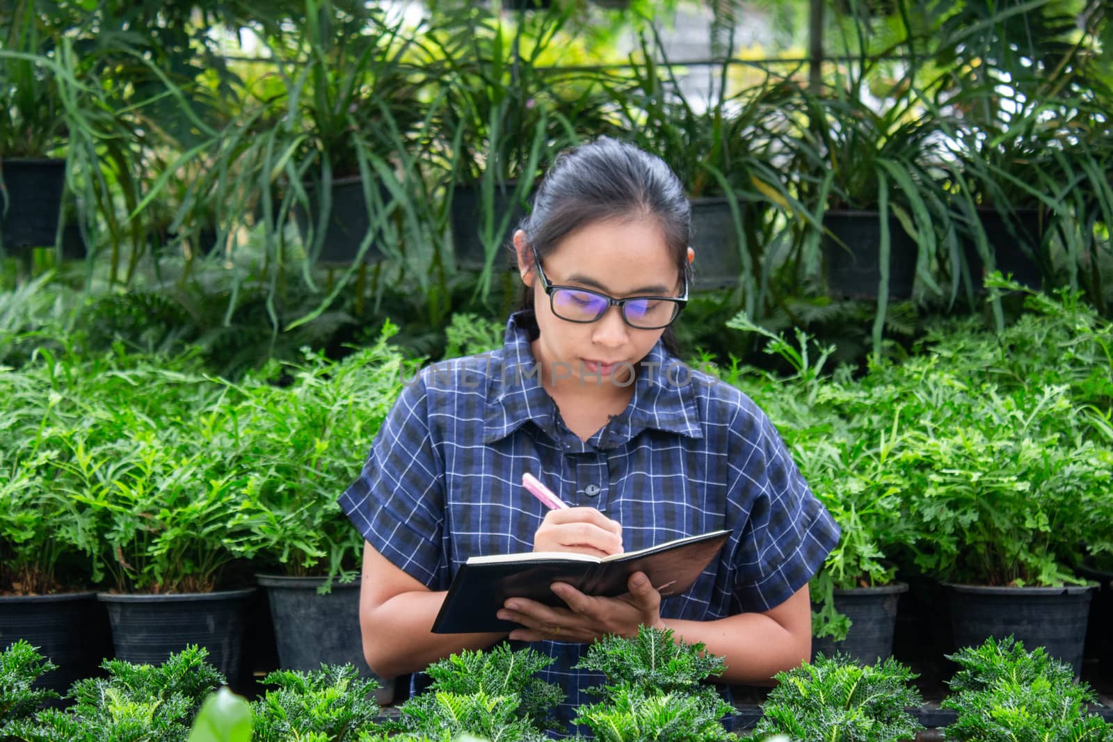 Portrait of a farmer Asian woman at work in greenhouse with notebook examines the growing seedlings on the farm and diseases in greenhouse. by TEERASAK