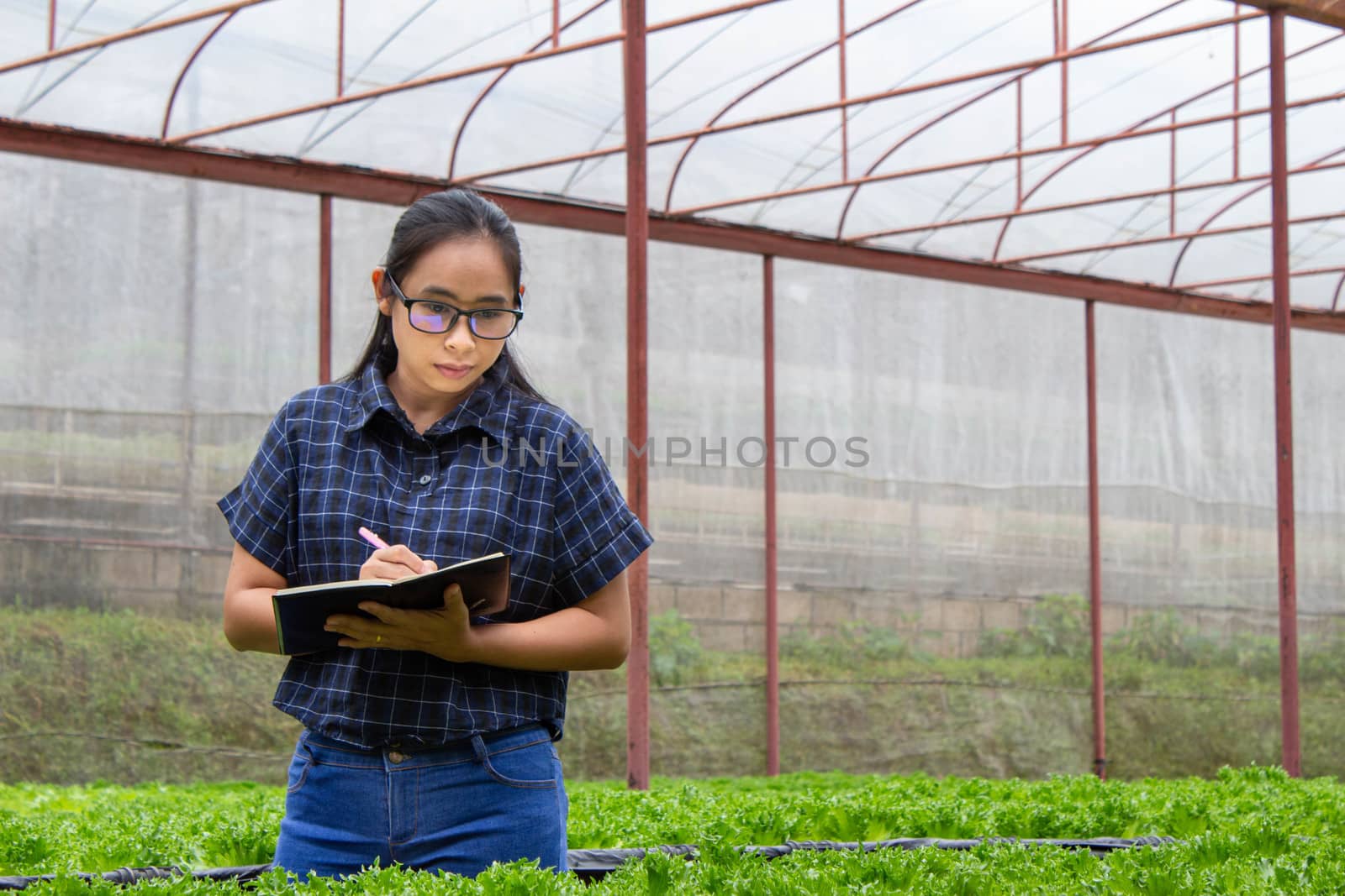 Portrait of a farmer Asian woman at work in greenhouse with notebook examines the growing seedlings on the farm and diseases in greenhouse.