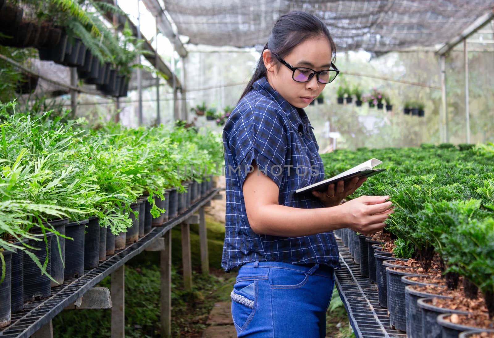 Portrait of a farmer Asian woman at work in greenhouse with notebook examines the growing seedlings on the farm and diseases in greenhouse.