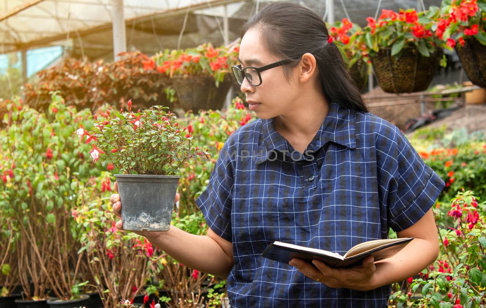 Portrait of Gardener Asian woman at work in greenhouse with notebook examines the growing flowers on the farm and diseases in greenhouse. by TEERASAK