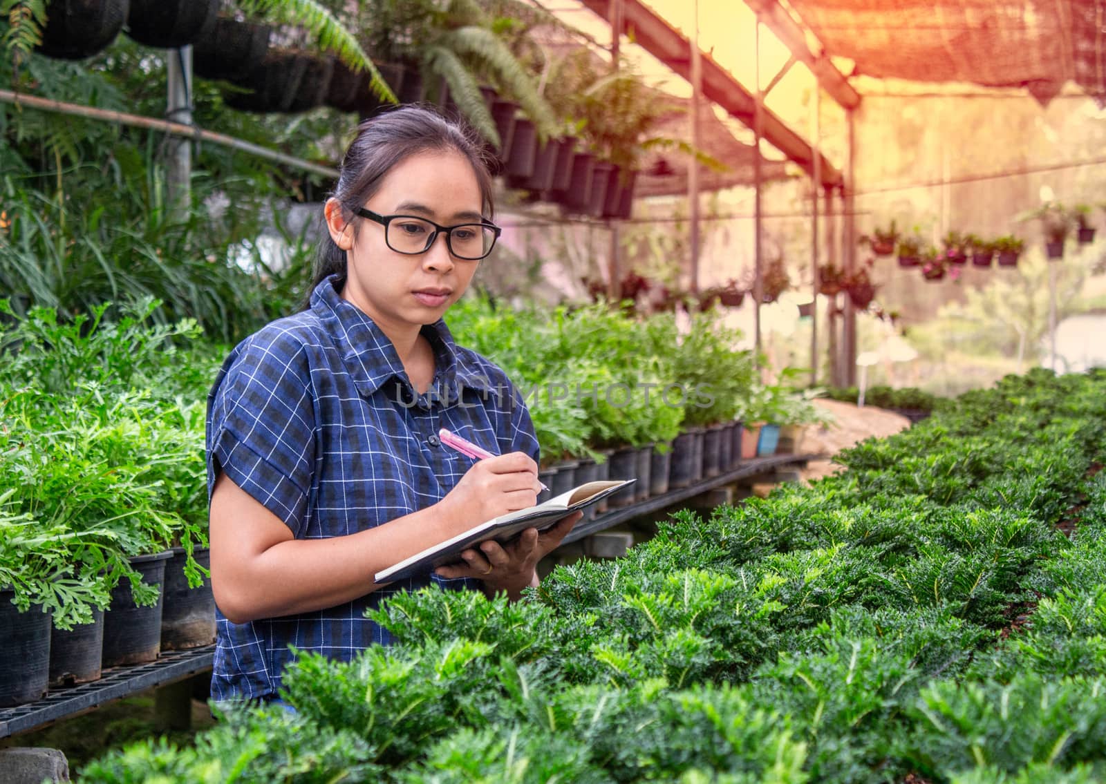 Portrait of a farmer Asian woman at work in greenhouse with notebook examines the growing seedlings on the farm and diseases in greenhouse. by TEERASAK