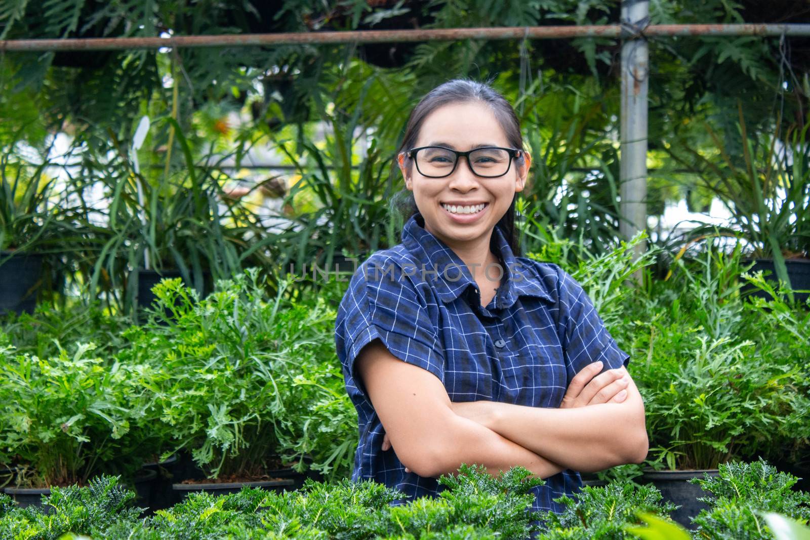 Gardener young woman holding a pot of growing seedlings in her hands for sale isolated on white background. by TEERASAK