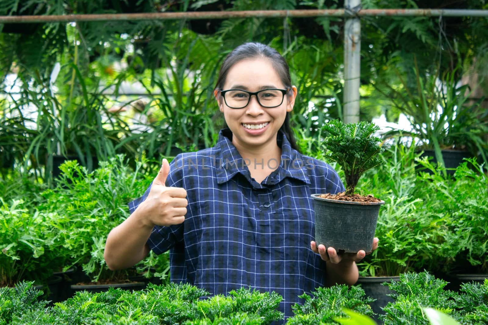 Gardener Asian woman standing and show thumb up proud in the growing seedlings in greenhouse.