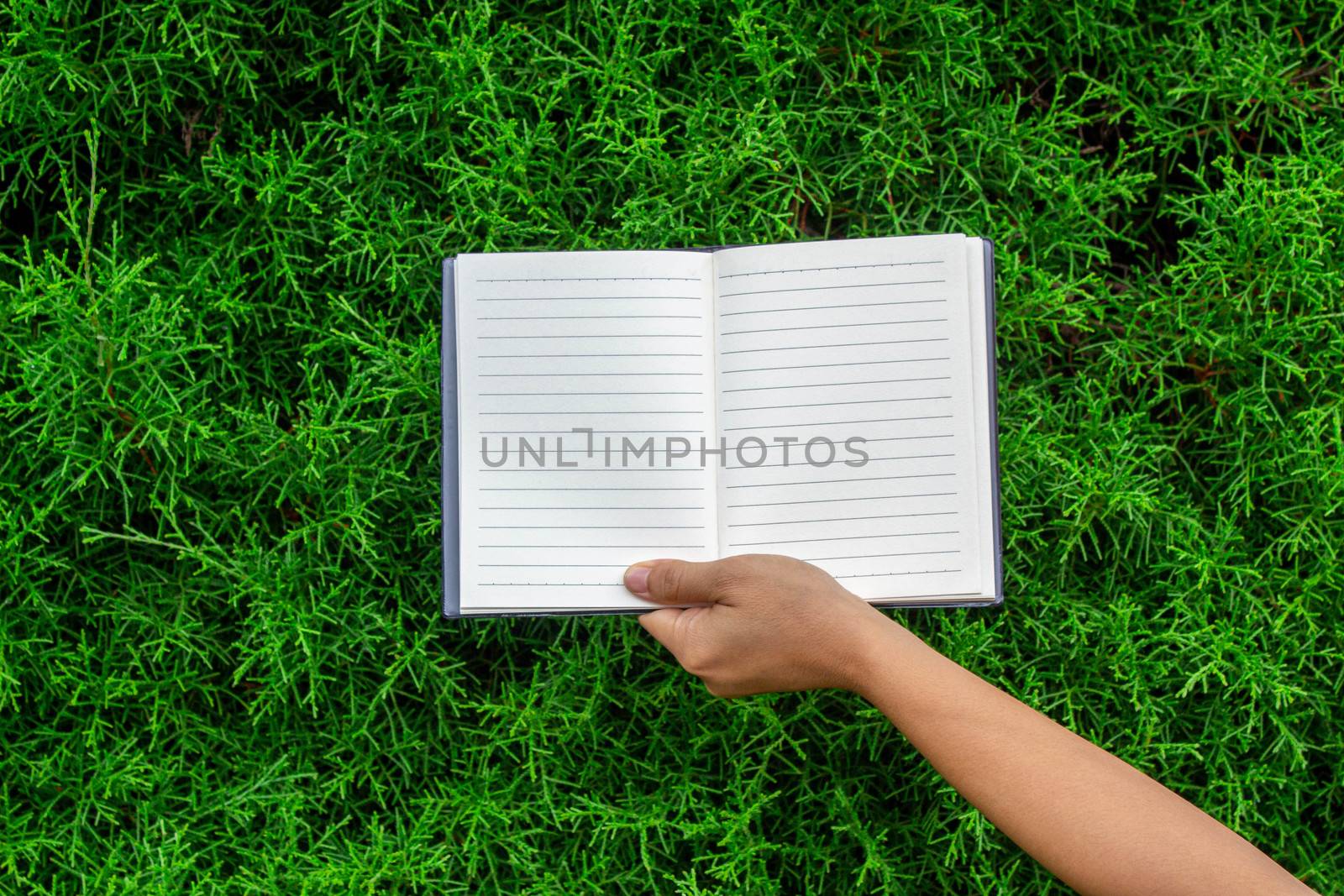 Woman' hands holding the blank notebook on against background of summer green park. by TEERASAK