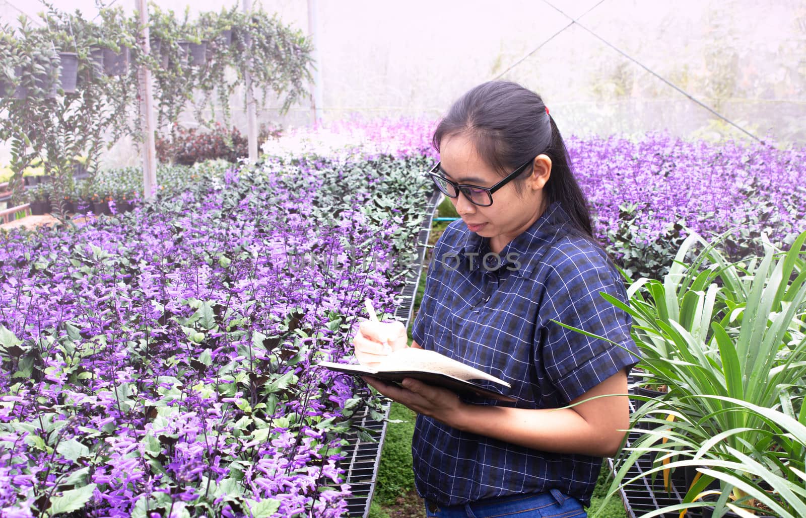 Portrait of Gardener Asian woman at work in greenhouse with notebook examines the growing flowers on the farm and diseases in greenhouse.