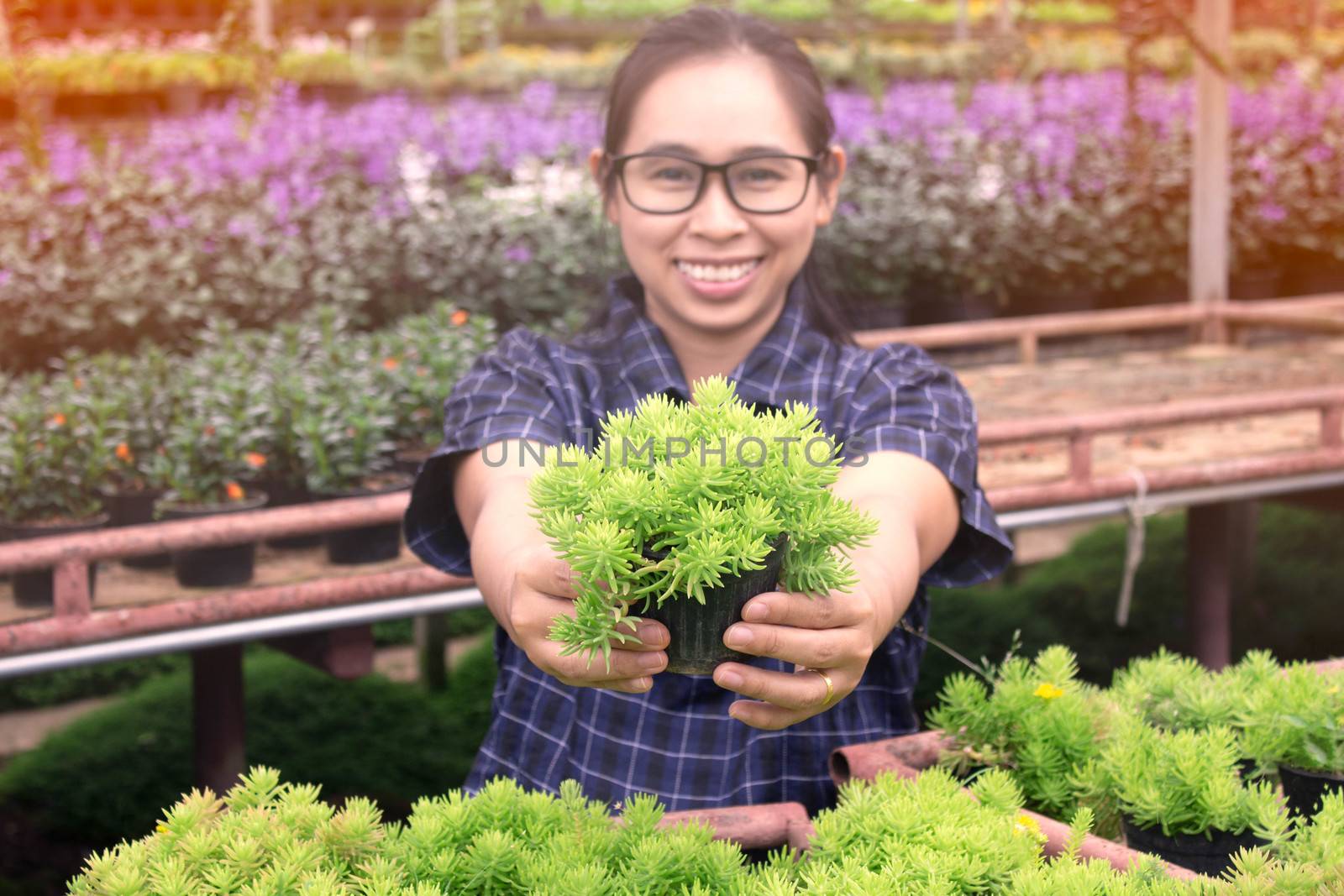 Gardener young woman at a nursery in greenhouse holding a pot of growing seedlings in her hands for sale.