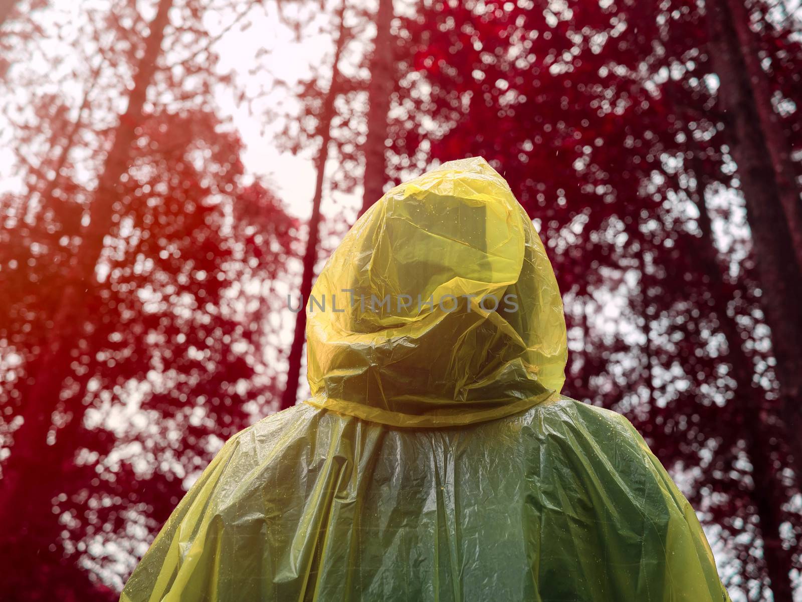 Rear of Asian woman wearing yellow raincoat stand in rain.