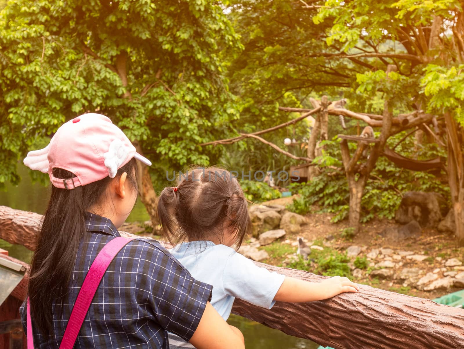 Happy mother and daughter watching Lemur with a striped tail on a tree in the zoo.