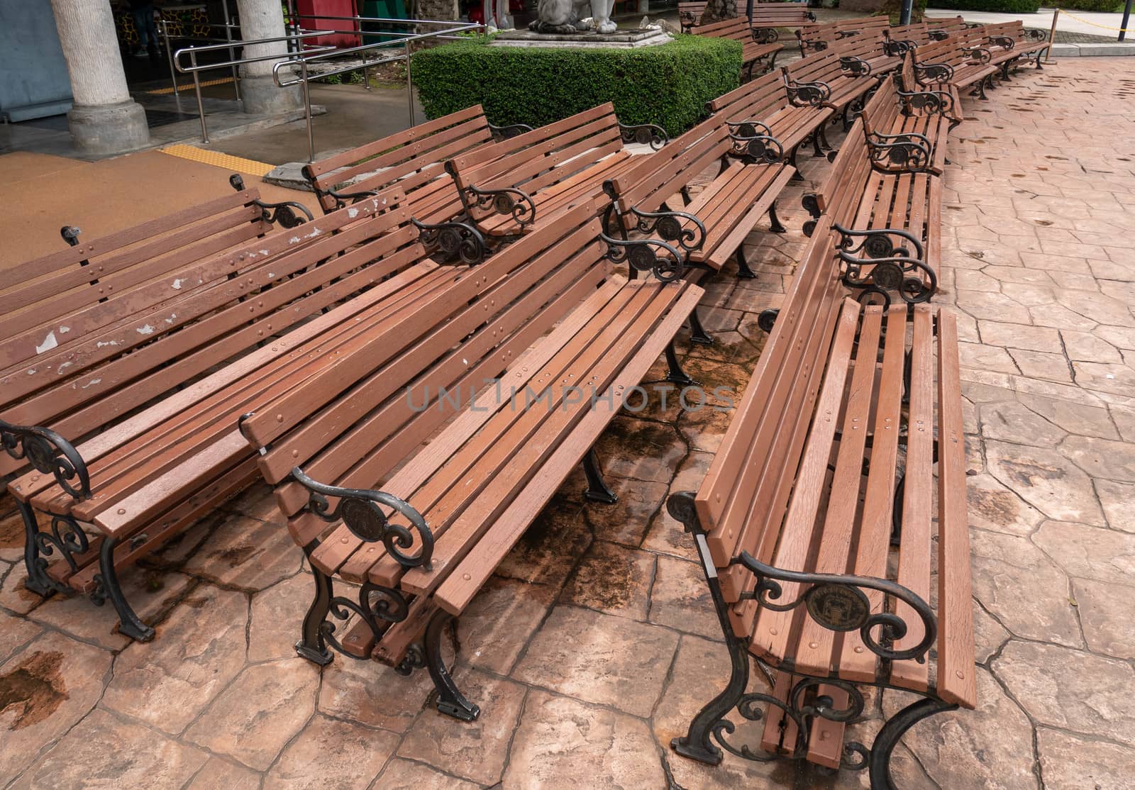 Rows of wooden chairs in the garden.