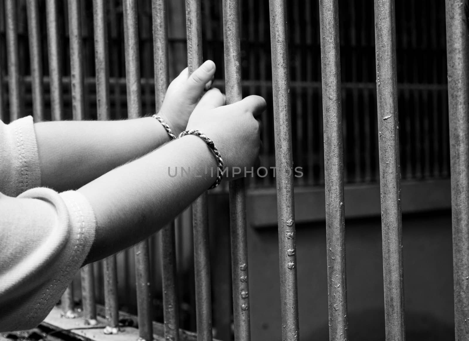 Close up hands of child catch the animal cage in the zoo. Dangerous  in children.