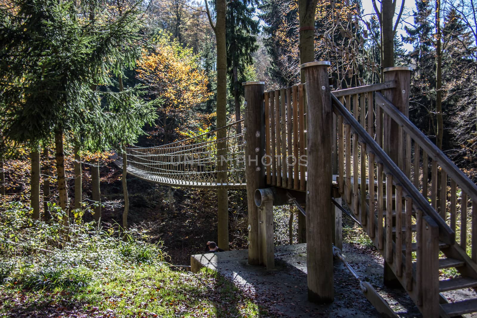 Suspension bridge as a tourist attraction in the Rothaar Mountai by Dr-Lange
