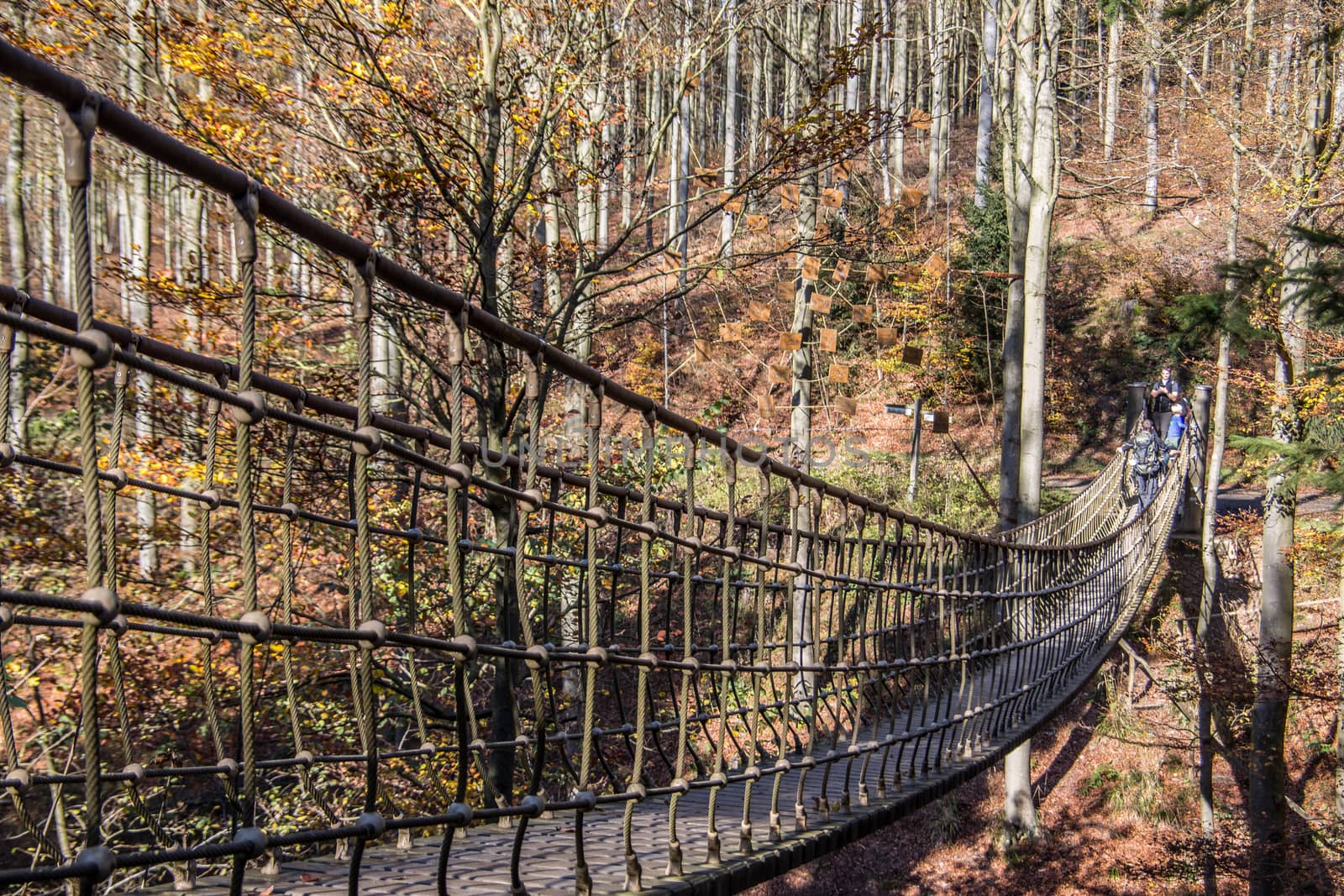 Suspension bridge as a tourist attraction in the Rothaar Mountains