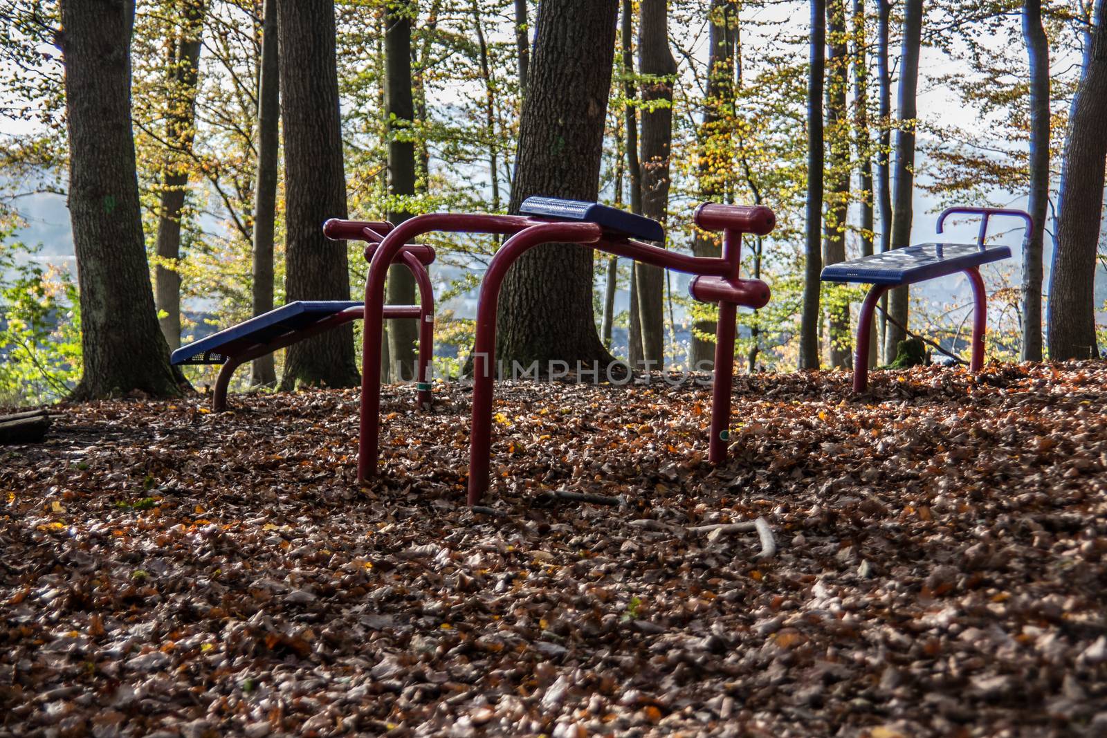 Children's playground with sports equipment in the deciduous forest