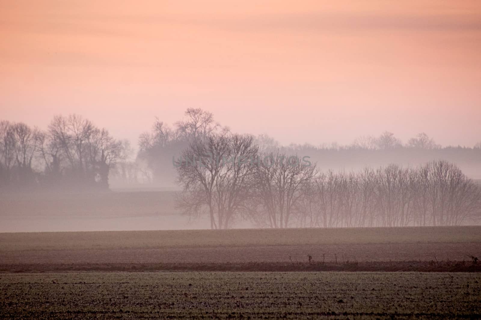 View of foggy winter countryside in Normandy