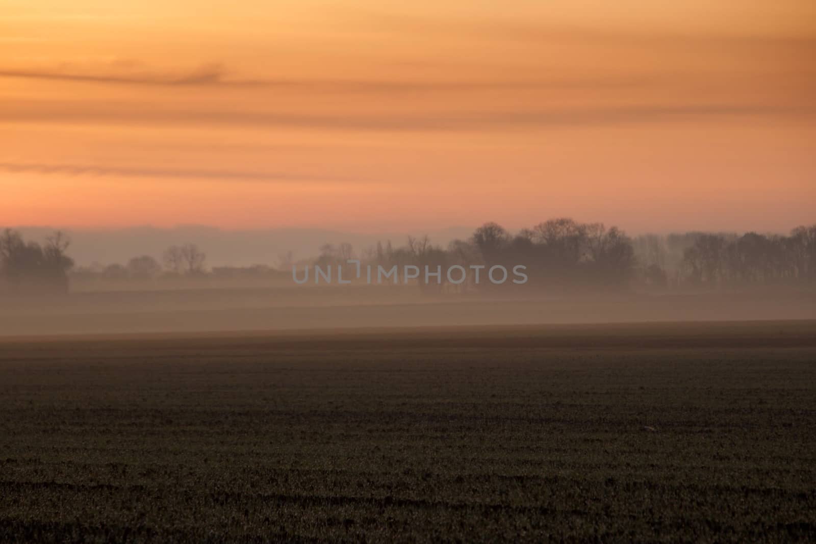 Foggy winter countryside in Normandy by MARphoto