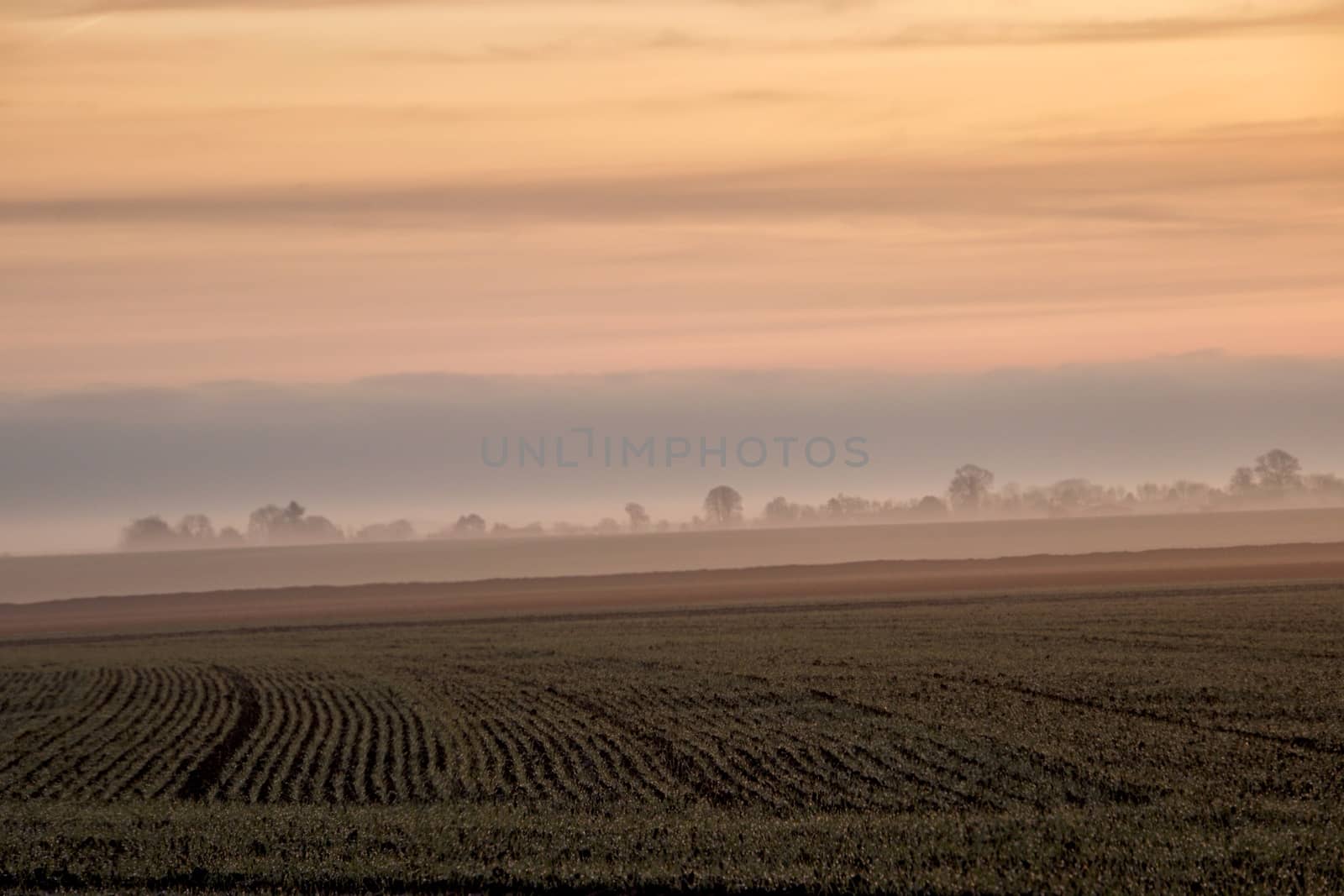 Foggy winter countryside in Normandy by MARphoto