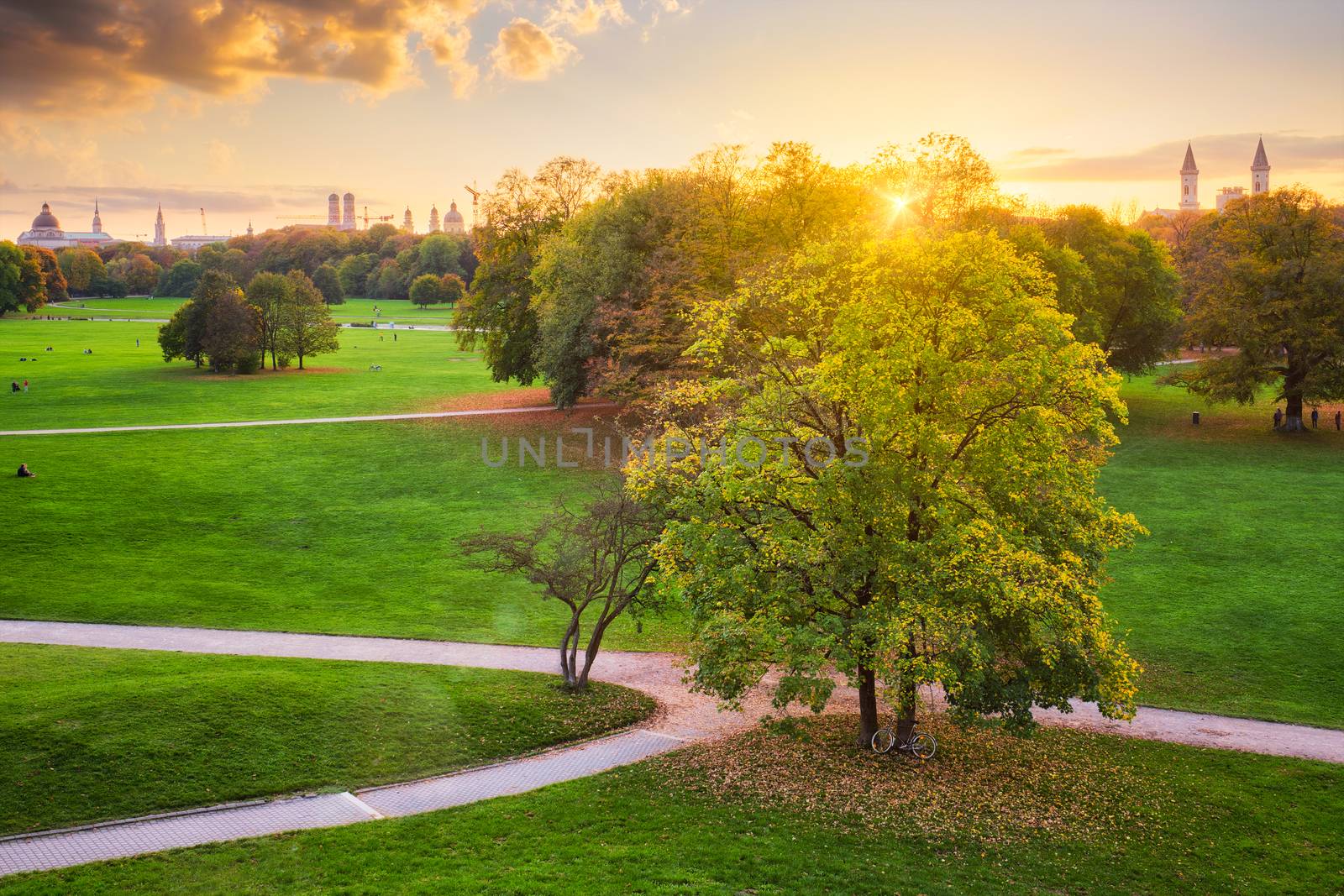 Golden autumn fall October in famous Munich relax place - Englischer Garten. English garden with fallen leaves. Munchen, Bavaria, Germany