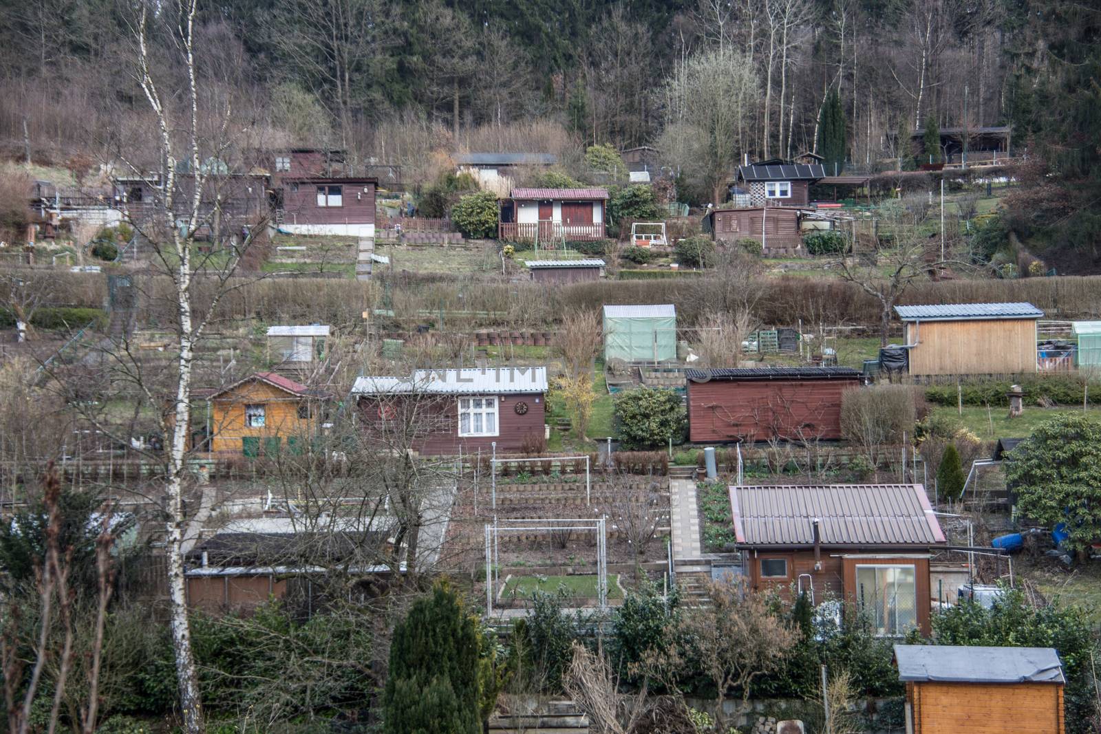 Allotment colony on the edge of the forest with colorful huts by Dr-Lange