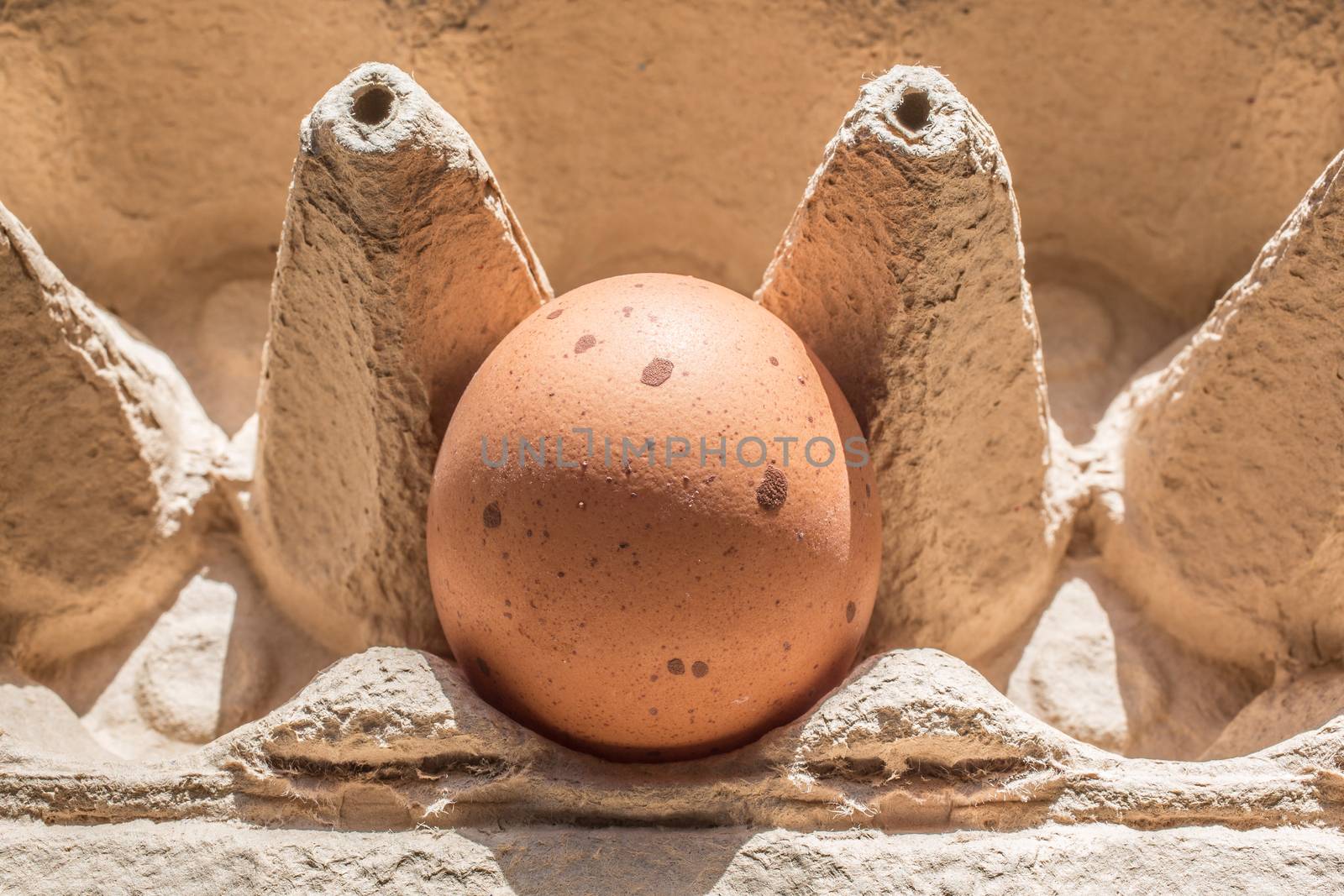 Egg with stains in the packaging