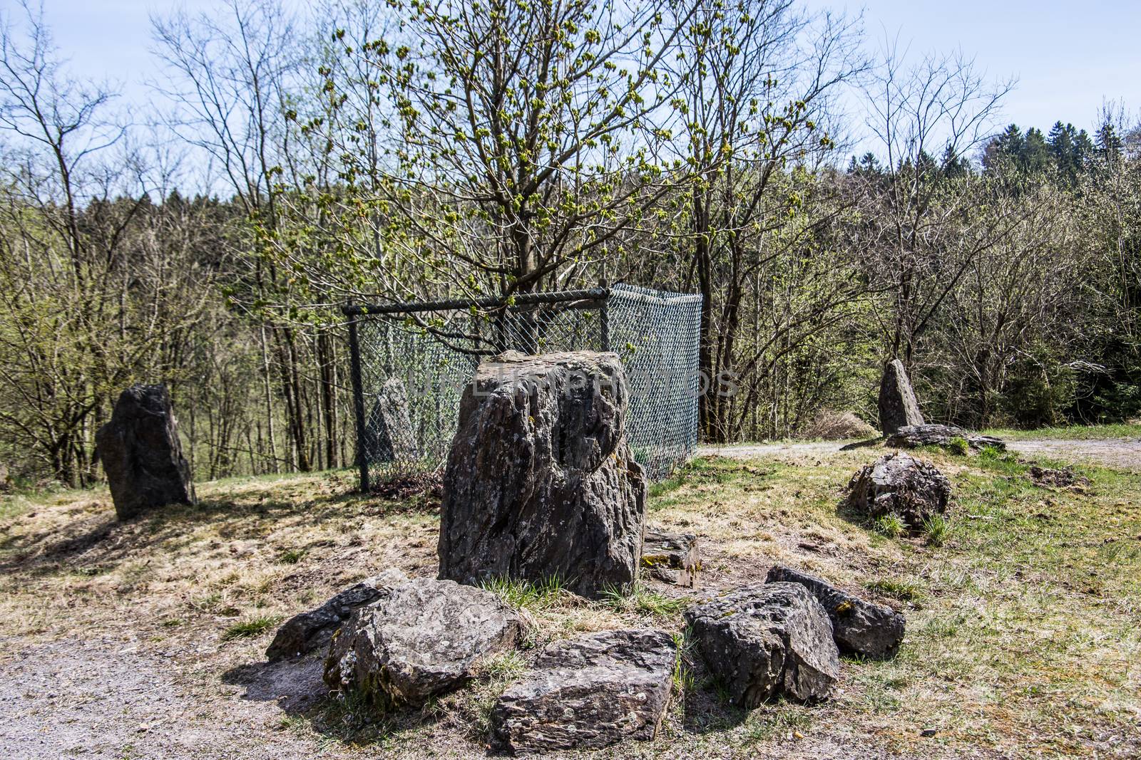 Erratic boulders around solitary deciduous tree