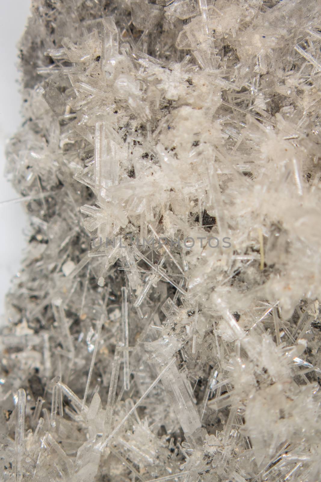 Selenite crystal needles on rock