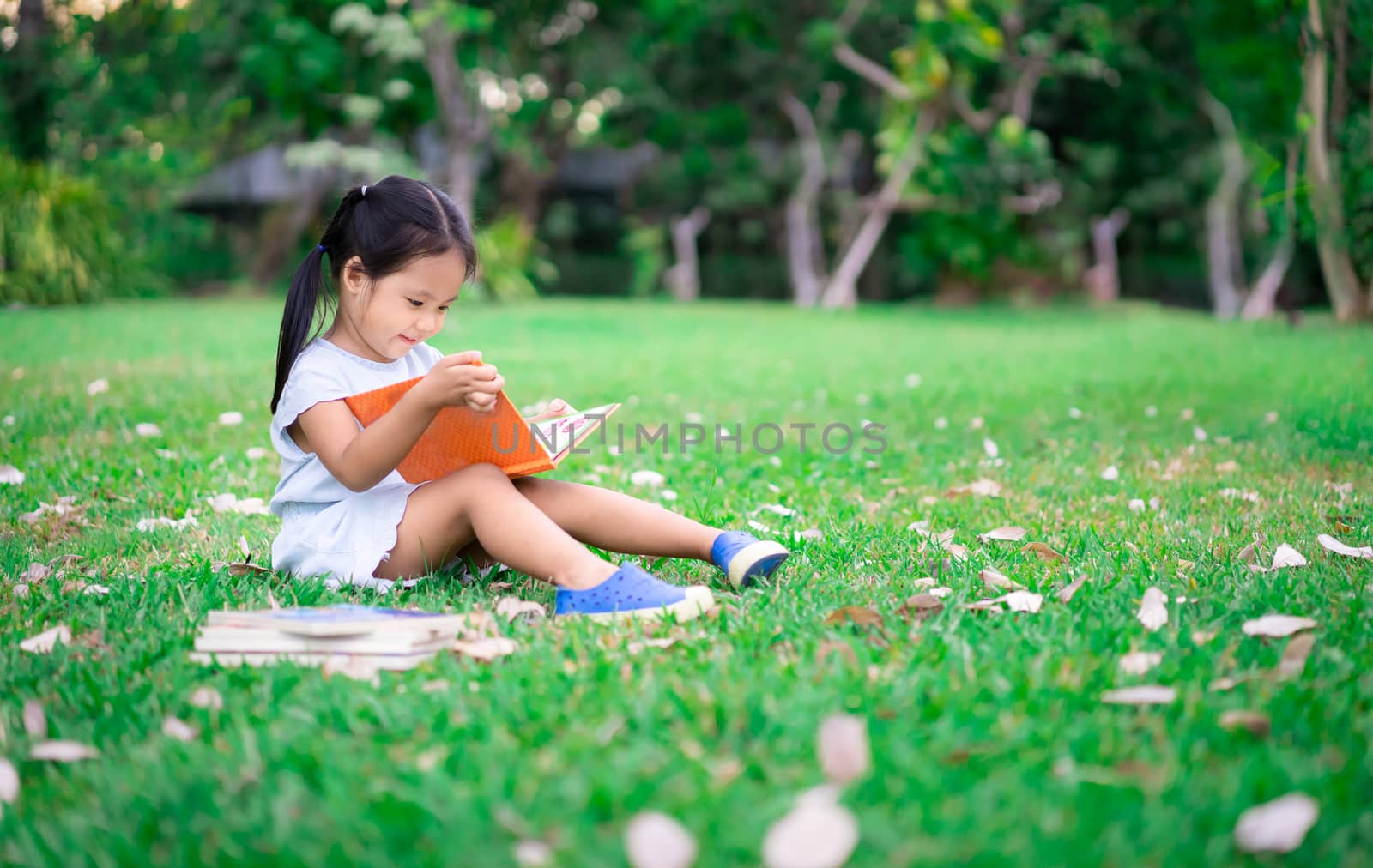 A little cute girl in a blue dress reading a book sitting in the park