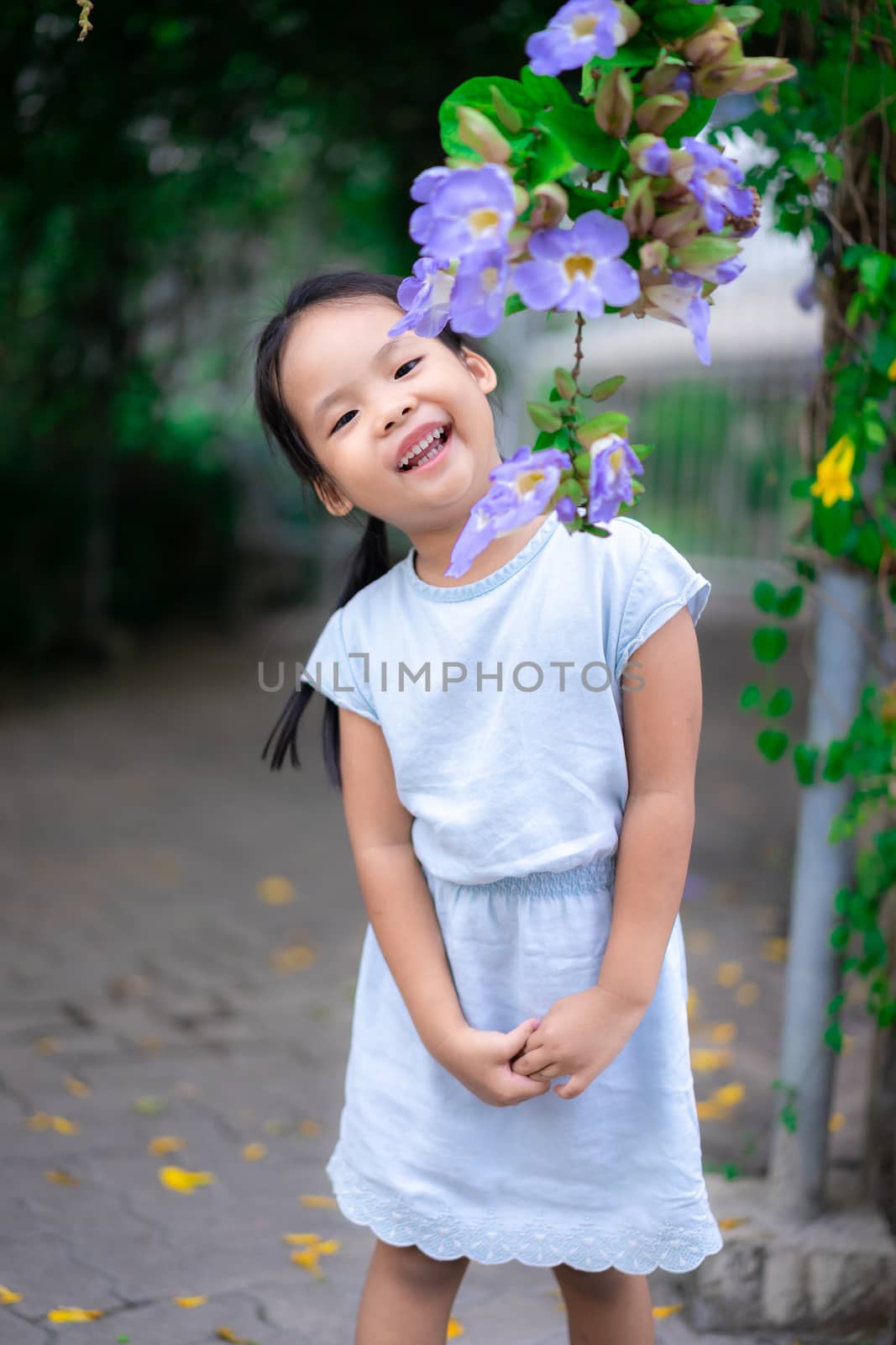 cute asian little girl appearance in blooming gardens in spring, blue dress.