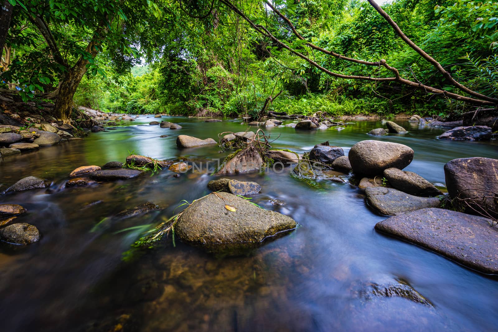 Small stream from mountain in the forest