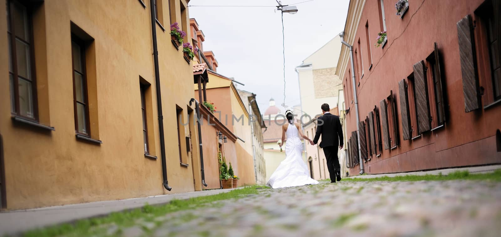 Bride and groom walking away  by maximkabb