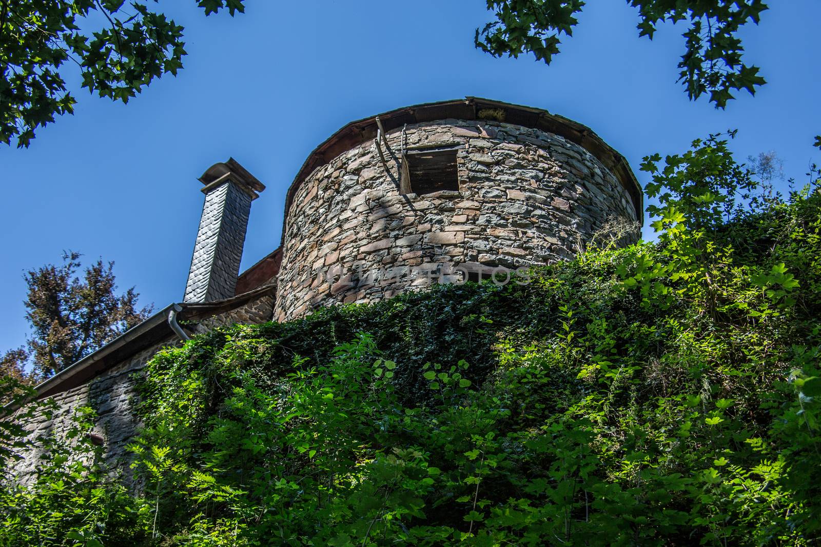 Schönstein Castle in Wissen