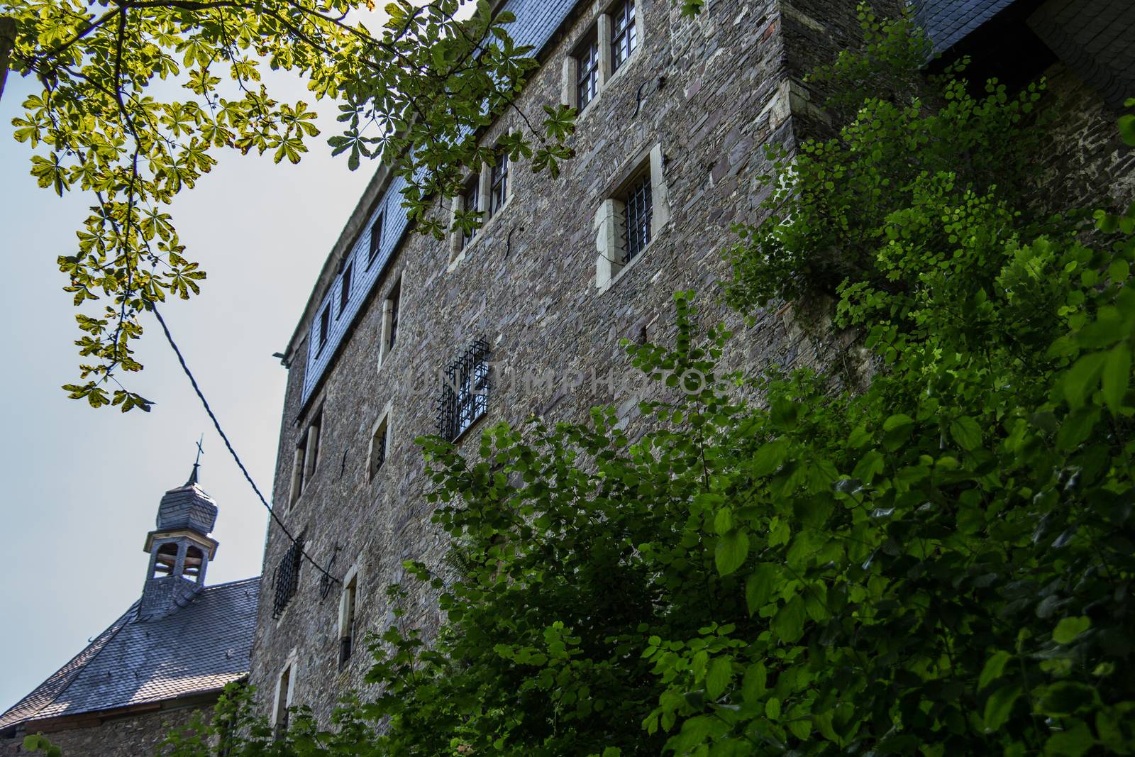 Schönstein Castle in Wissen