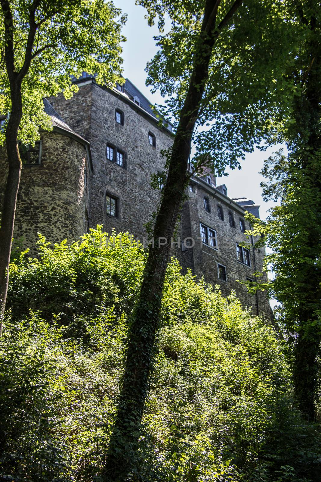 Schönstein Castle in Wissen