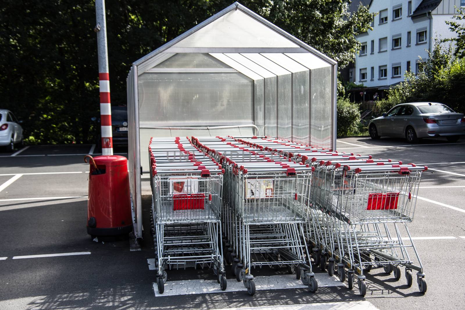 Shopping cart at the supermarket