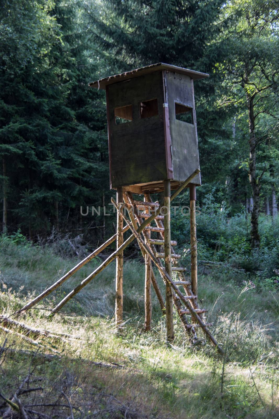 wooden high seat in the forest