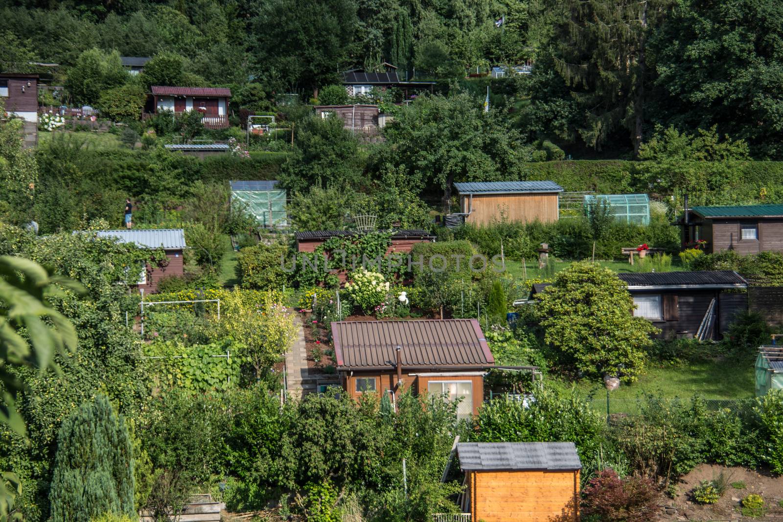 Allotments with houses on a slope